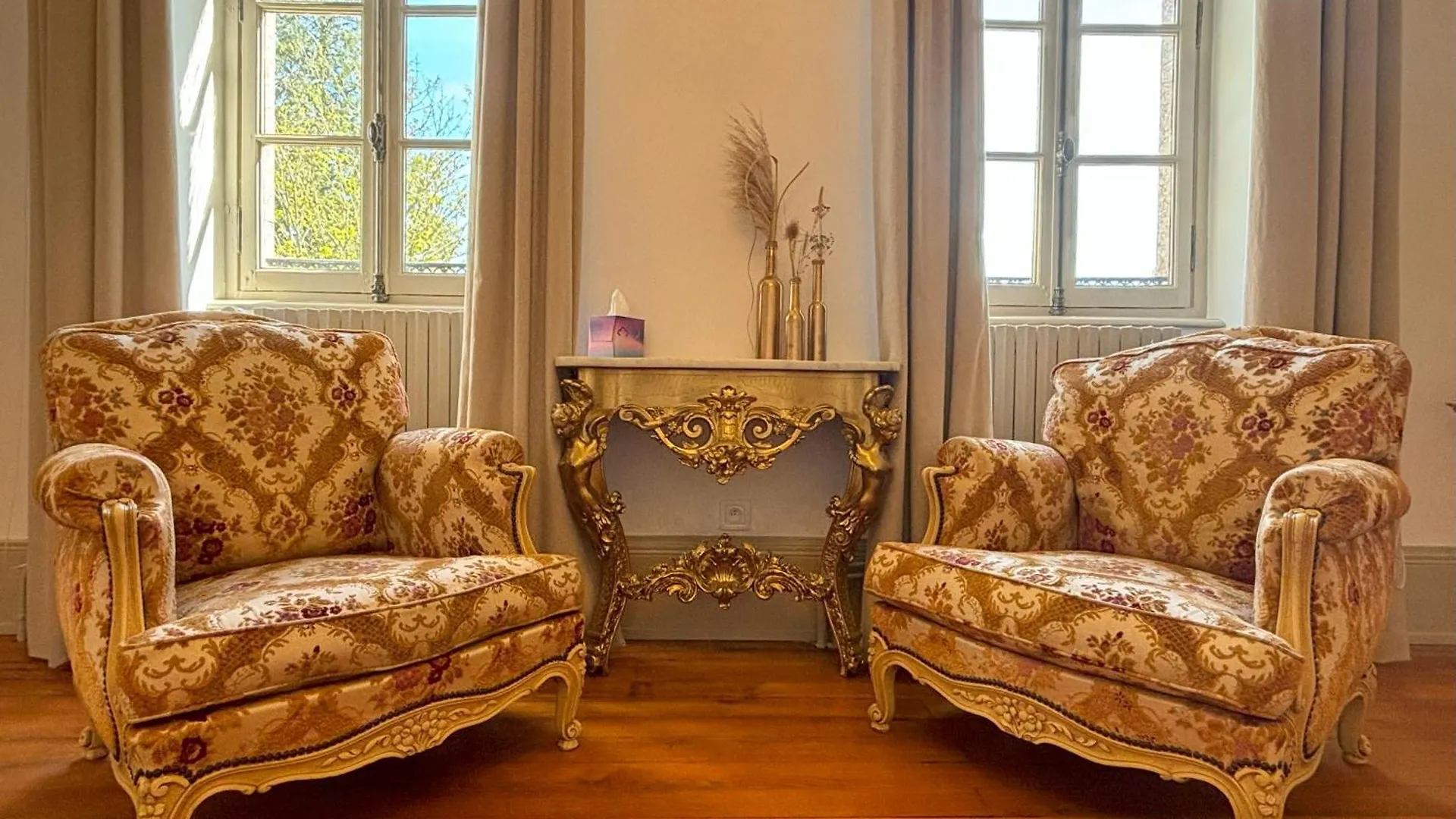 Chateau De Bruges Lapeyrouse Bed & Breakfast